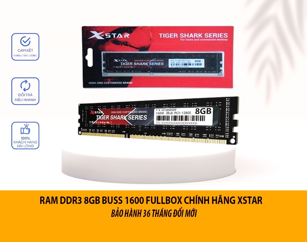 Ram XStar 8G - 1600 PC